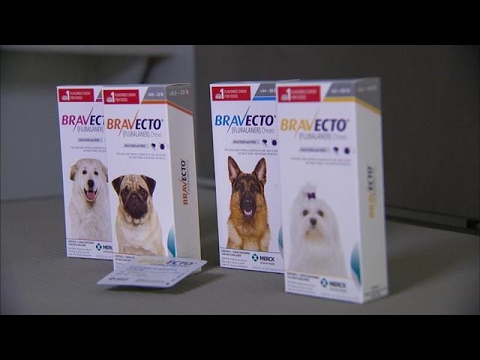 Dog owners blame popular flea medicine for pets's deaths