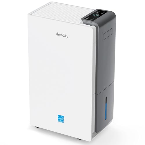 Best Air Purifiers for Home & Allergies (2026 Expert Guide) 6 AEOCKY cyrbertron air purifier