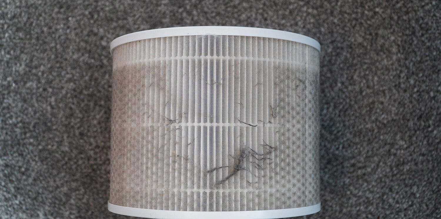 levoit air purifier problems