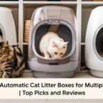 Automatic Cat Litter Boxes for Multiple Cats: Top Picks and Reviews 1 Automatic Cat Litter Boxes for Multiple Cats Image