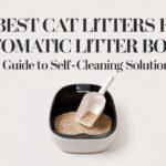 10 Best Cat Litters for Automatic Litter Boxes: A Guide to Self-Cleaning Solutions image