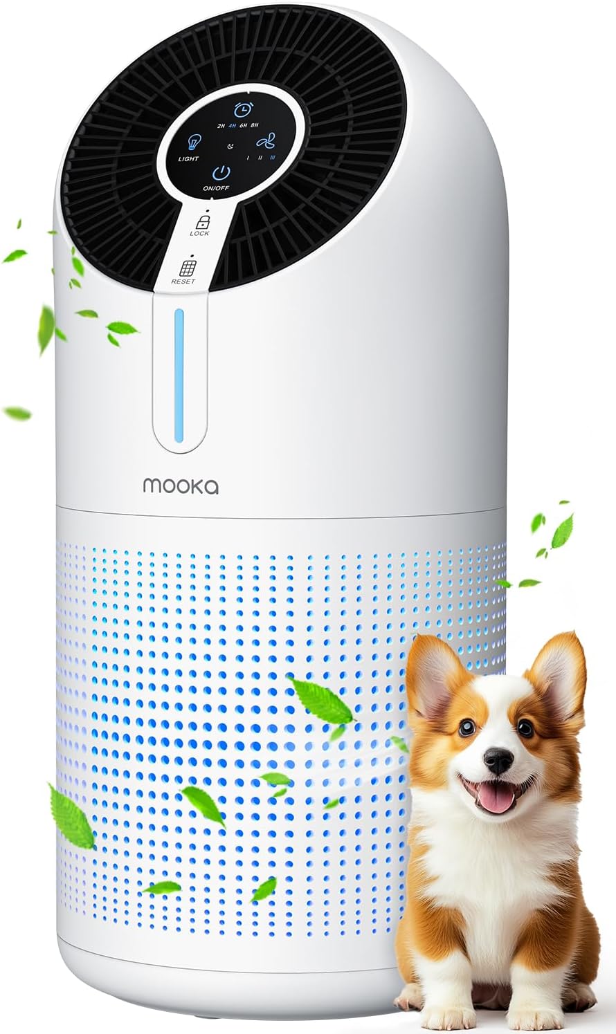 Honest Afloia Europa Review 2025: Pros, Cons, Features & Performance