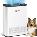 KNKA APH3000 Review: Big Room Air Purifier, Big Results? article image