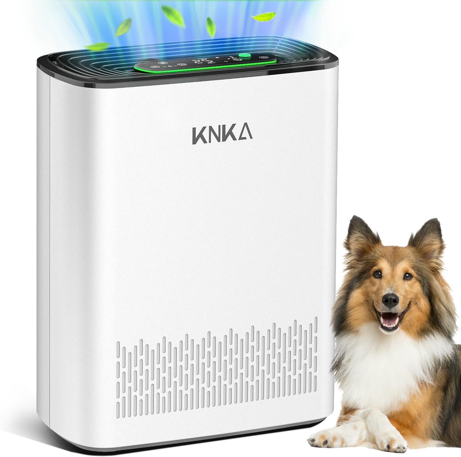 Air Purifiers 2 KNKA APH3000 Review: Big Room Air Purifier, Big Results?