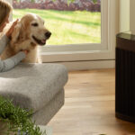 Honeywell Air Purifiers: Choosing the Best Solution for Your Indoor Air Quality 1 Honeywell Air Purifiers